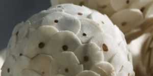 Shola Chip Ball 10 Cm