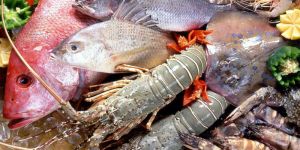 Seafood
