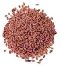 Psyllium Husk