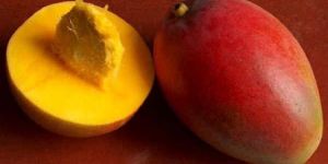 Fresh Alphonso Mangoes