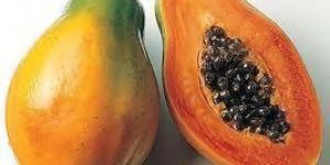 Fresh Papaya
