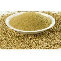 Coriander Powder