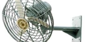 Fans