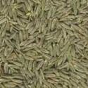 Cumin Seed Oil