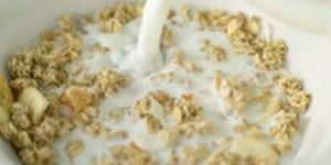 Calcium Caseinate Powder