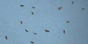 Auto Carburetor Components