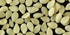 Sesame Seeds