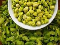 Green Chickpeas