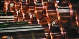 Phosphor Bronze Strip