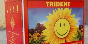 Top Ply Duplex Carton