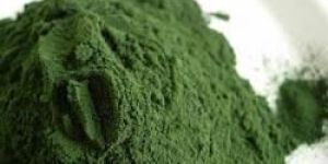 Spirulina Powder