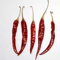 Teja Red Chillie