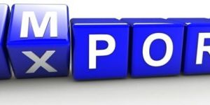 Export Import Consultant Services
