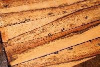 Mango Wood