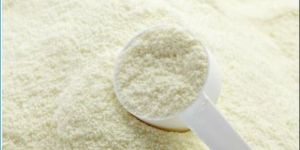 Bake Bihari Skimmed Milk Powder
