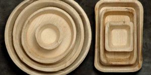 Areca Leaf Plates