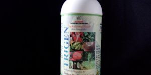 Trichoderma Viride (Trigen)