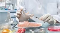Food Testing Laboratory