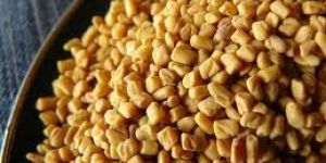 Fenugreek Seed