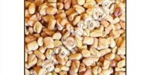 Fenugreek Seeds