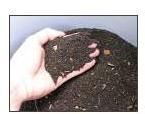 Vermicompost Fertilizer