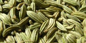 Fennel Seed