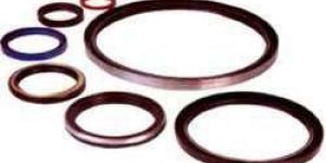 Oil Seals