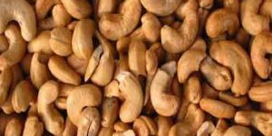 Cashew Nuts Cold Storage Rental