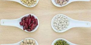 Pulses Cold Storage Rental