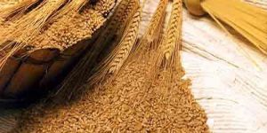 Wheat Cold Storage Rental