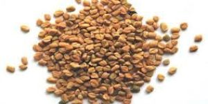 Yellow Mustard Seeds