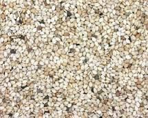 Natural White Sesame Seeds