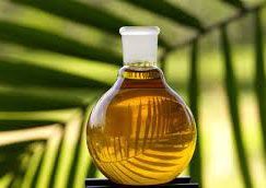 Palm Oil