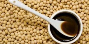 Soya Lecithin