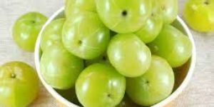 Fresh Amla
