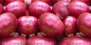 Red Onion