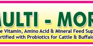 Cattle Feed Supplement