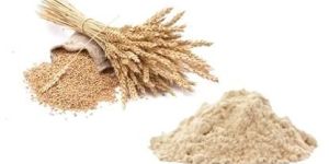 Whole Wheat Flour ( Atta )