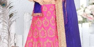 Net Lehenga Choli