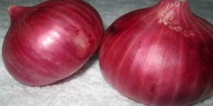 Red Onion