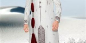 Party Wear Sherwani