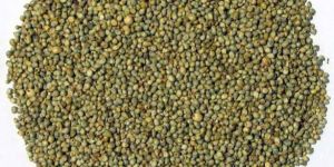Millet Seeds