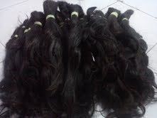 Raw Human Hair