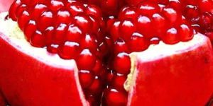 Fresh Pomegranate