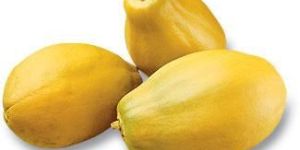 Papaya