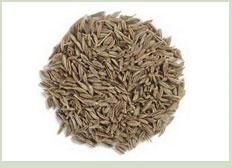 Cumin Seeds