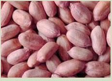 Groundnuts