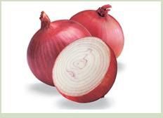 Onion