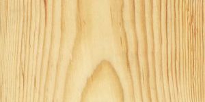 Pine Wood
