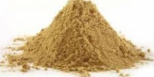 Dehydrated Ginger Powder